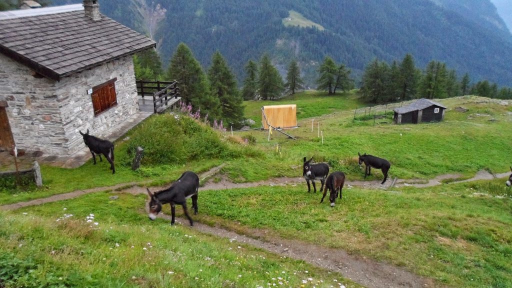 TMB - Jour 5 - Du refuge Bertone à Champex-Lac