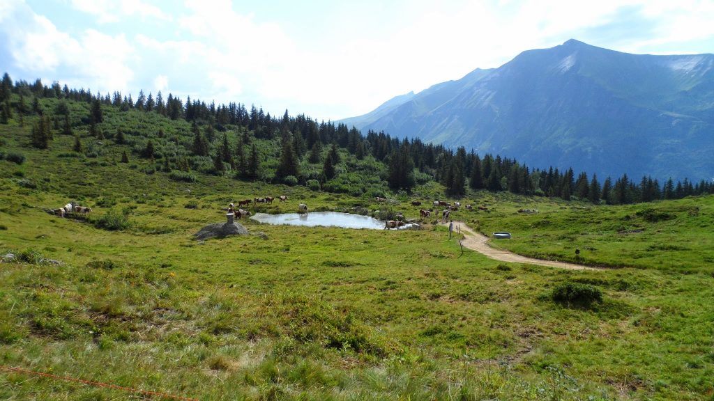 TMB - Jour 1 - Des Houches aux chalets du Truc