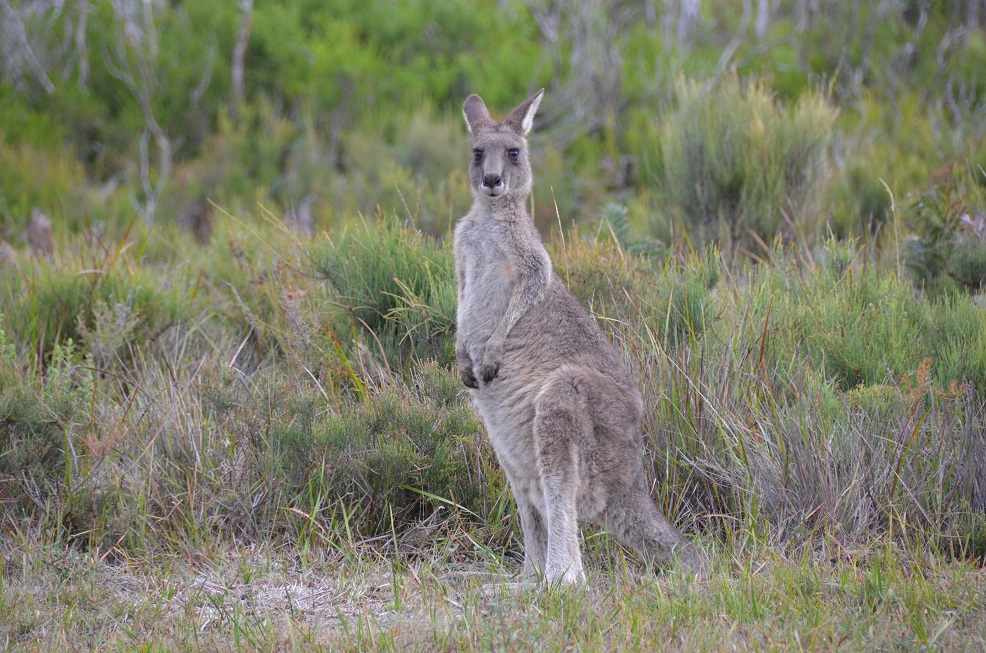 Départ du Prom pour Melbourne