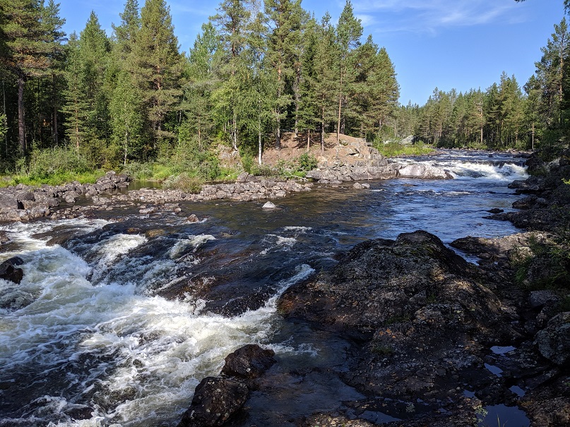 De Stromsund à Vilhelmina - La Vildmarksvägen - Taboulé et randonnée
