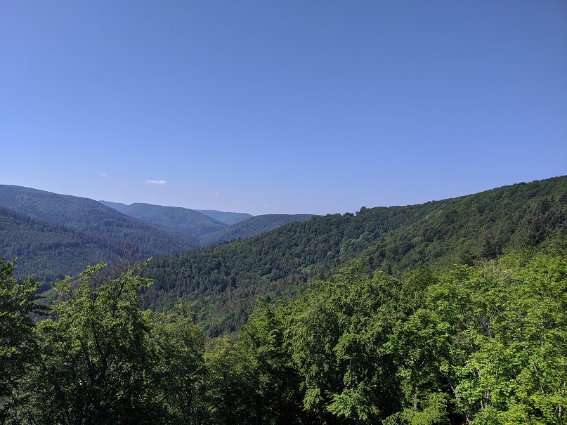 Déconfinement – Prise d’air dans les Vosges du Nord