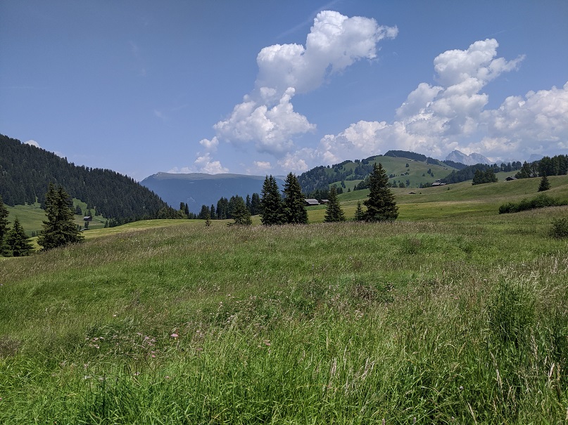 Panorama