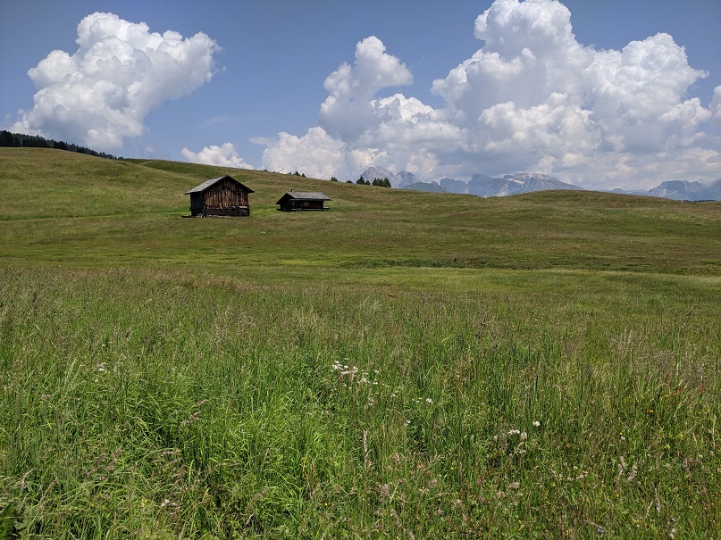 Panorama