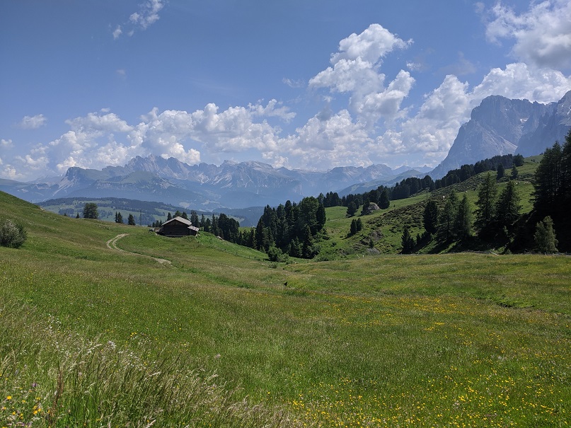 Panorama