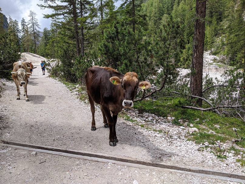 Sur le sentier du retour