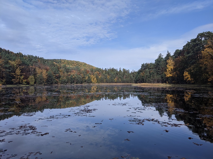 Etang de Liesbach