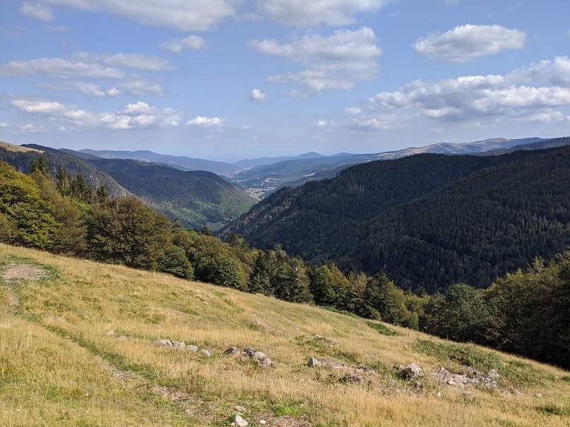 Panorama