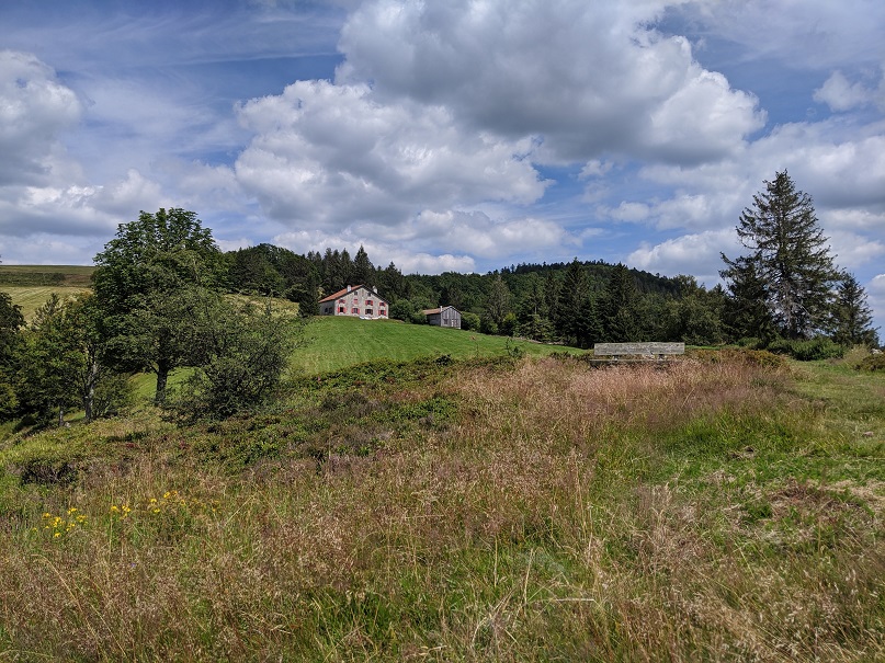 Roche Beuty