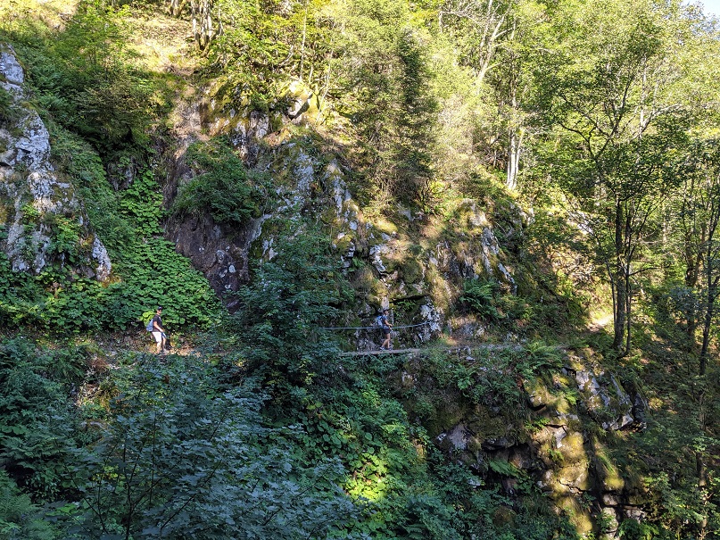 Réserve naturelle du Frankenthal