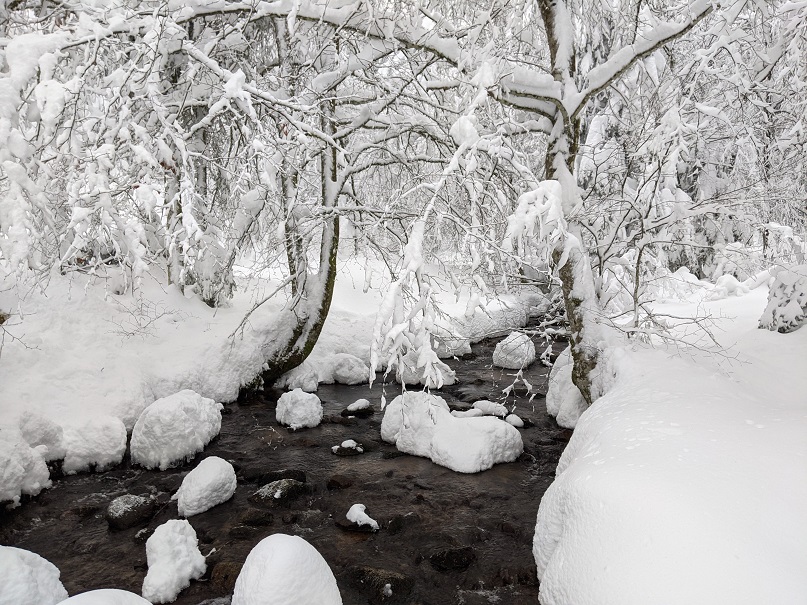 Balade dans la neige pour la nouvelle année