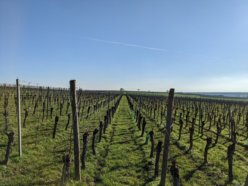 Balade dans les champs – Osthoffen