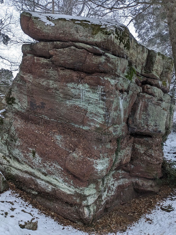 Vers le Mont Saint-Odile