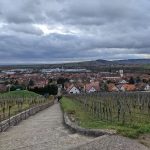 Les châteaux d’Andlau et du Spesbourg depuis Mittelbergheim