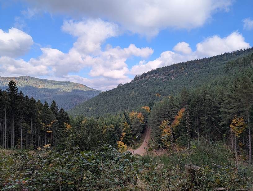Pique-nique au pied du Mont Saint-Odile